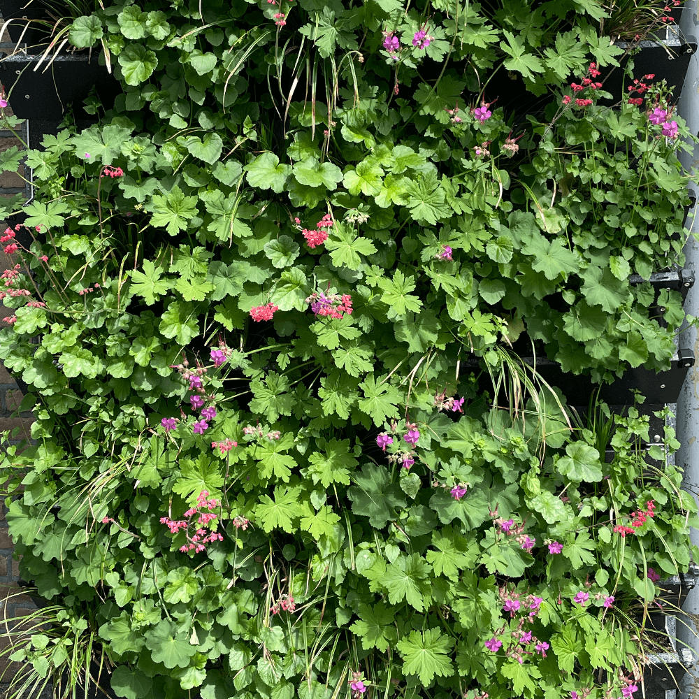 TheClimateWall-_0018_prototype